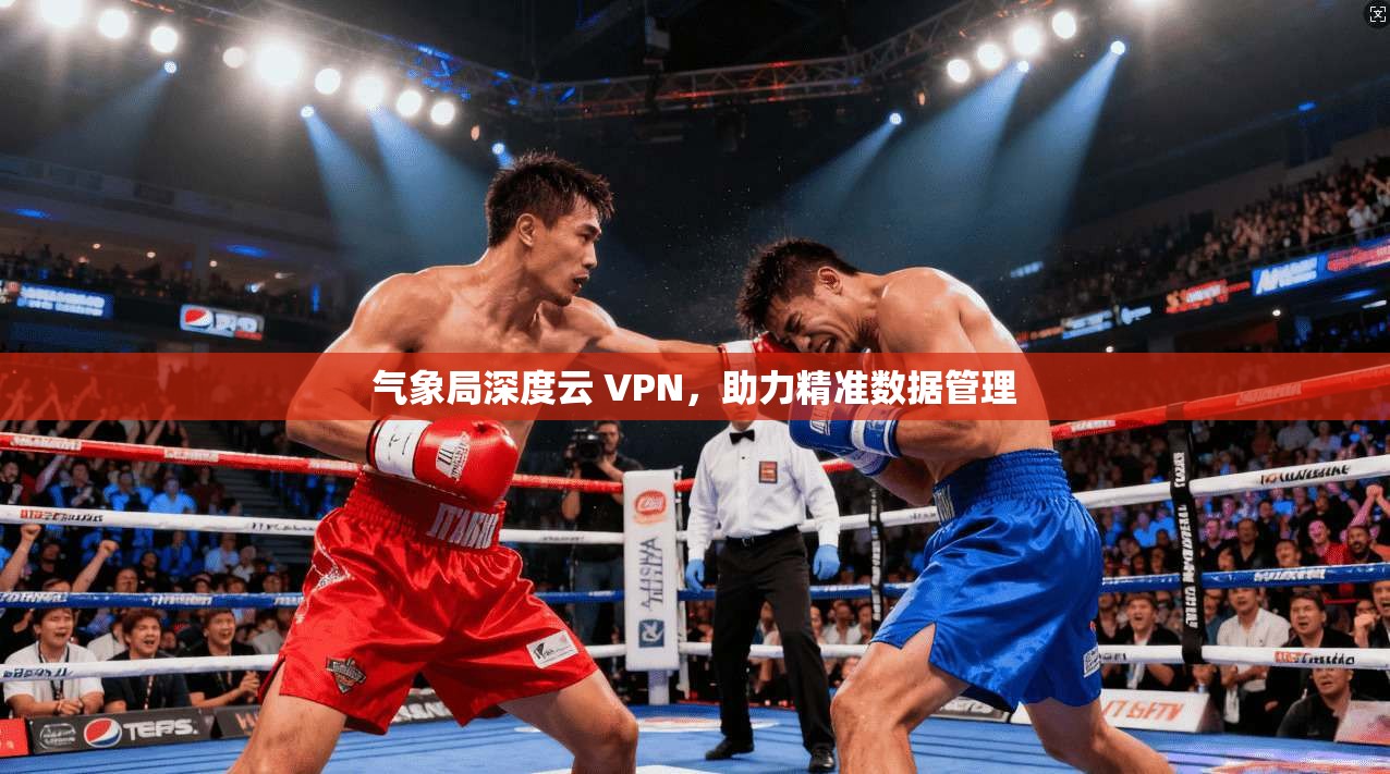 气象局深度云 VPN，助力精准数据管理