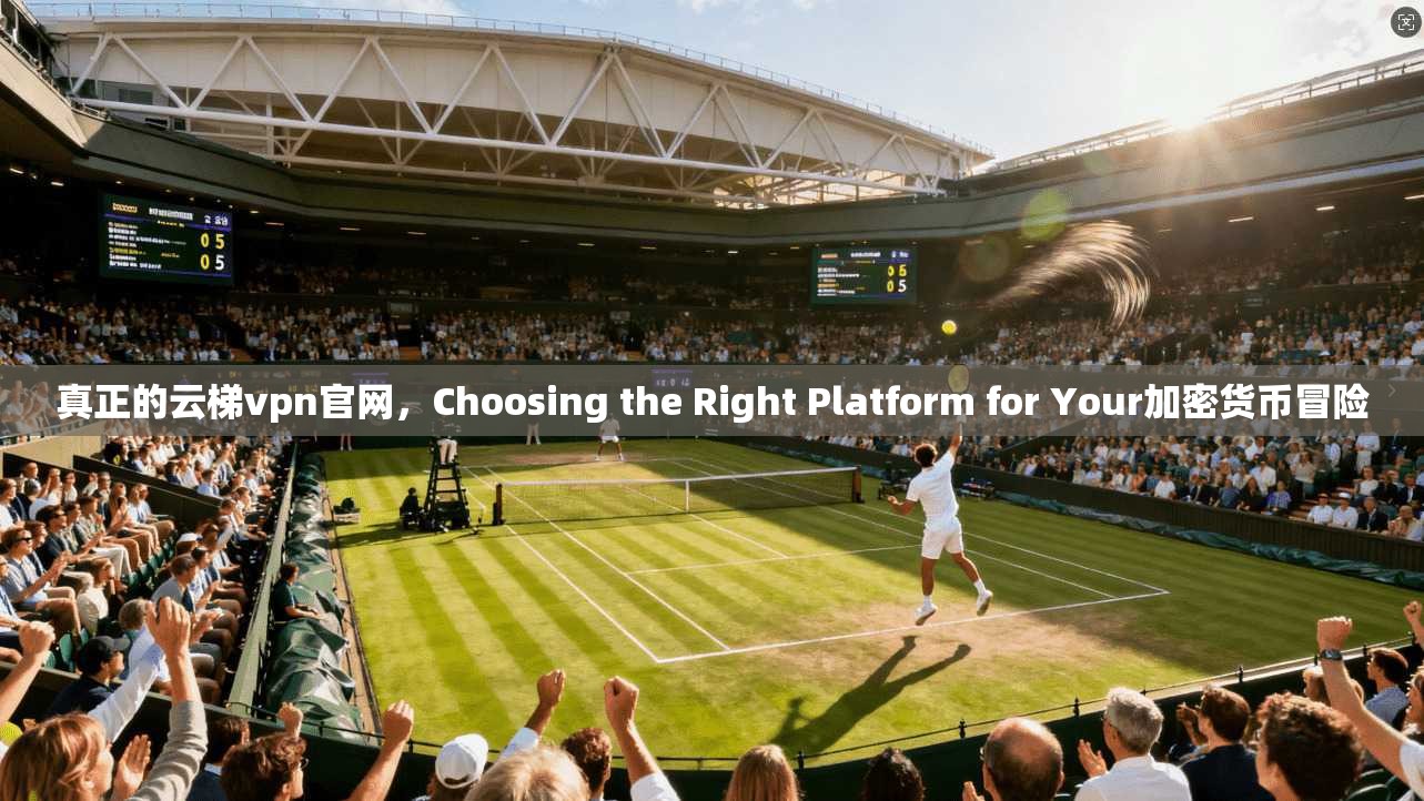 真正的云梯vpn官网，Choosing the Right Platform for Your加密货币冒险
