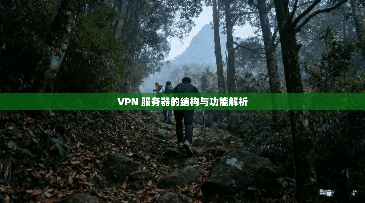 VPN 服务器的结构与功能解析