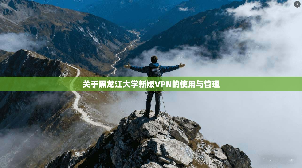 关于黑龙江大学新版VPN的使用与管理