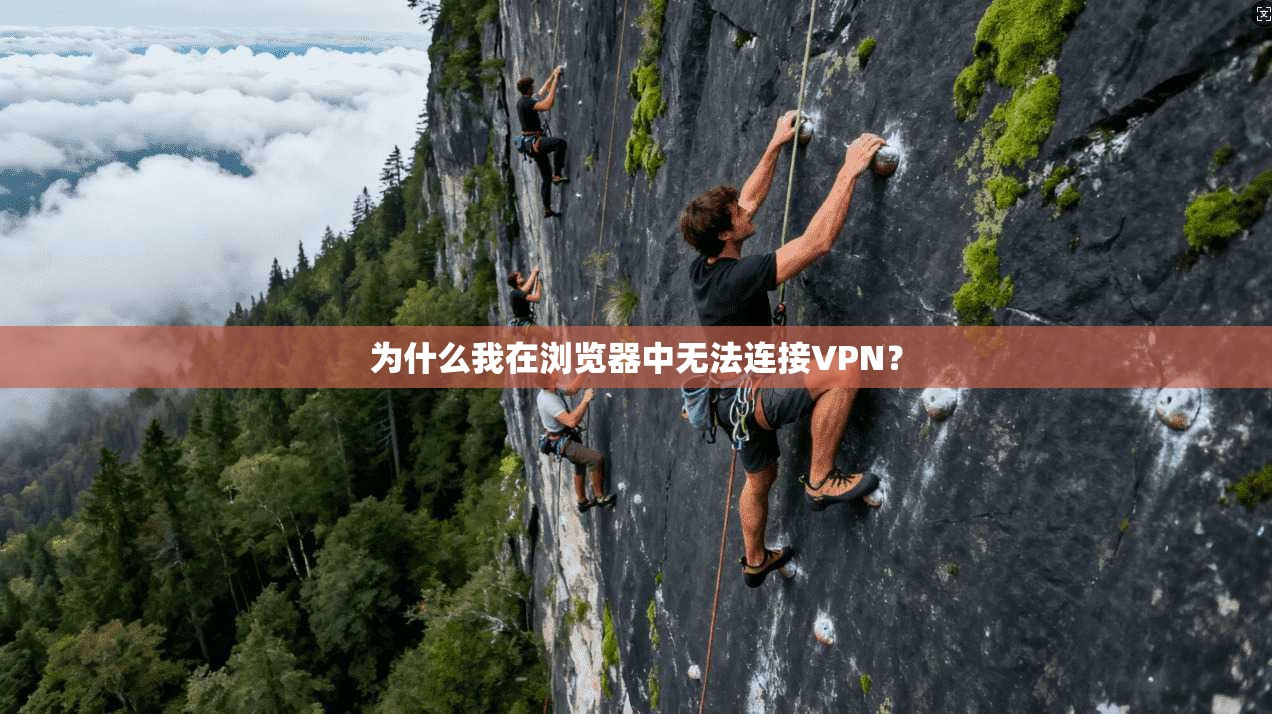 为什么我在浏览器中无法连接VPN？