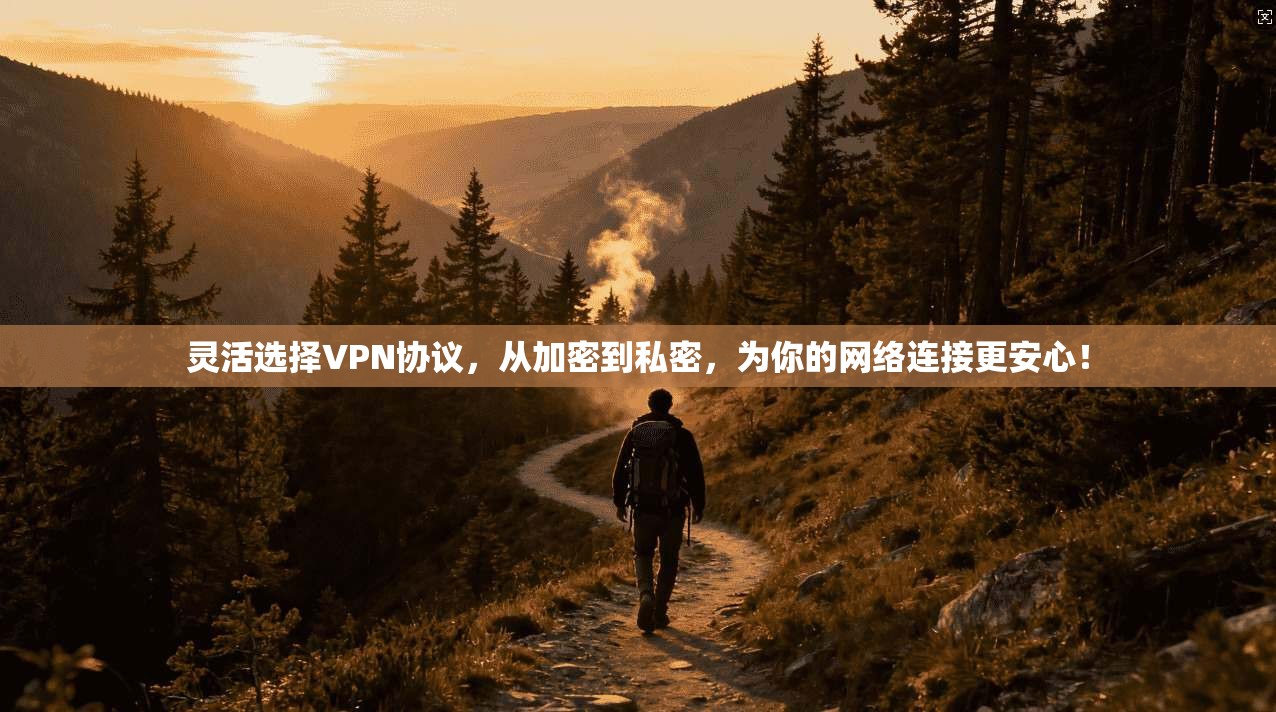 灵活选择VPN协议，从加密到私密，为你的网络连接更安心！