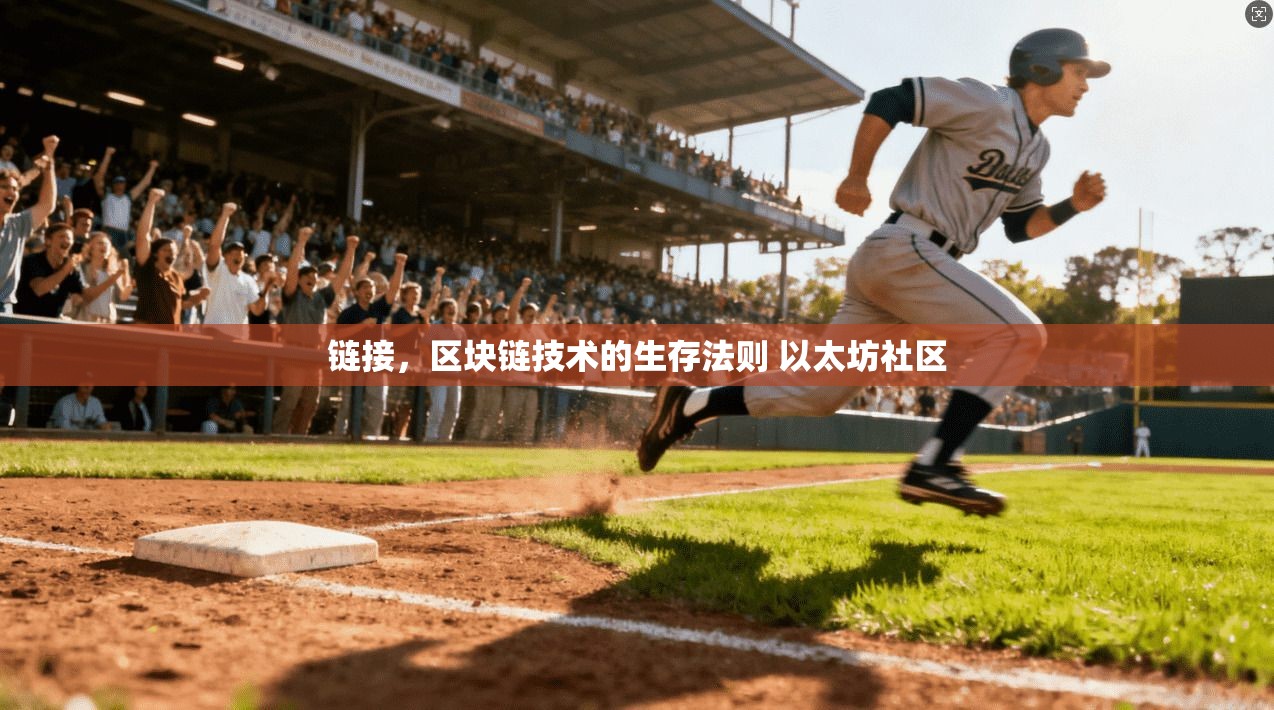 链接，区块链技术的生存法则 以太坊社区