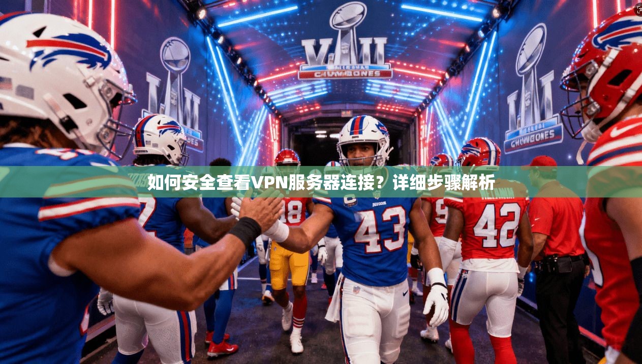 如何安全查看VPN服务器连接？详细步骤解析
