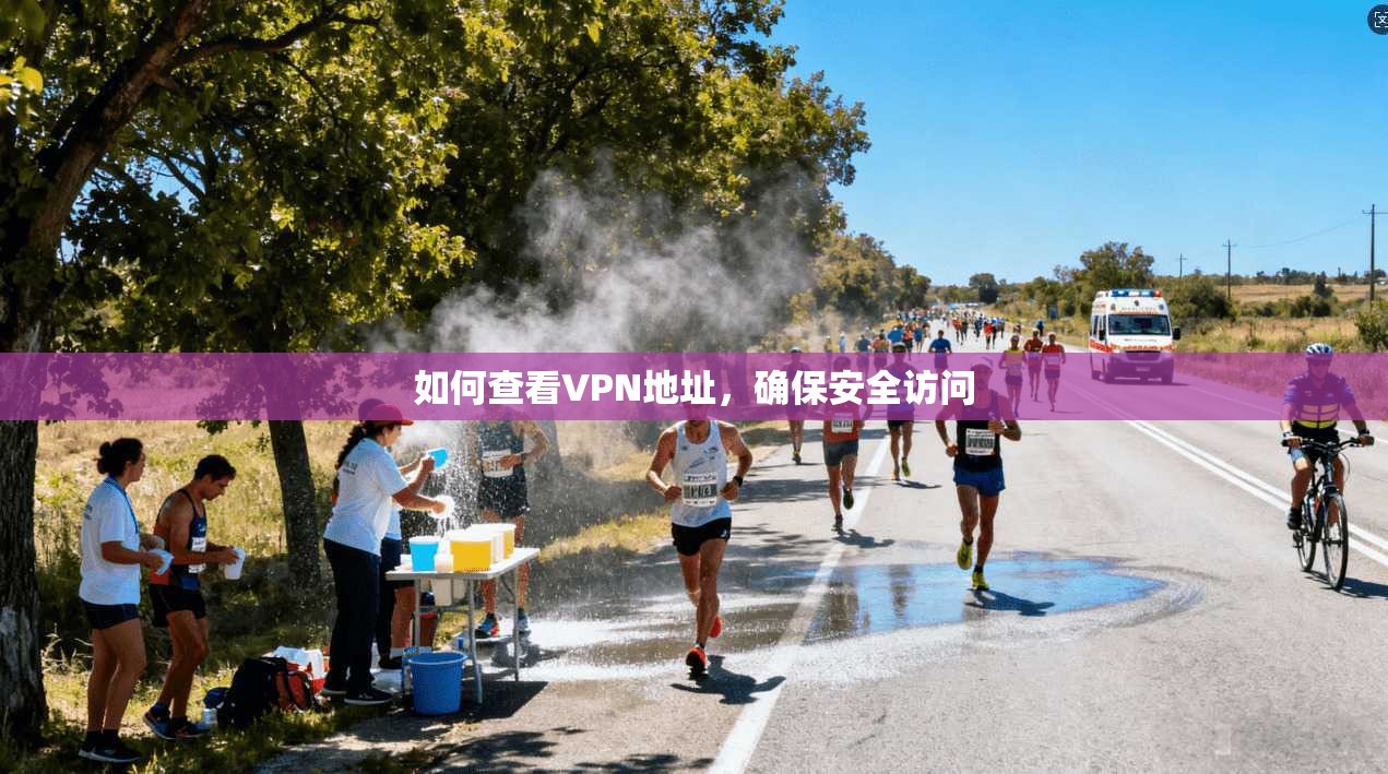 如何查看VPN地址，确保安全访问