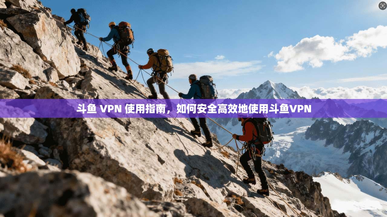 斗鱼 VPN 使用指南，如何安全高效地使用斗鱼VPN