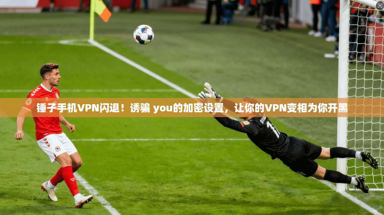 锤子手机VPN闪退！诱骗 you的加密设置，让你的VPN变相为你开黑