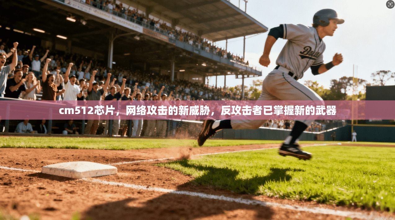 cm512芯片,网络攻击的新威胁,反攻击者已掌握新的武器