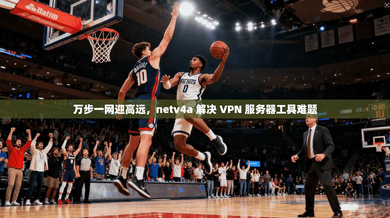 万步一网迎高远，netv4a 解决 VPN 服务器工具难题
