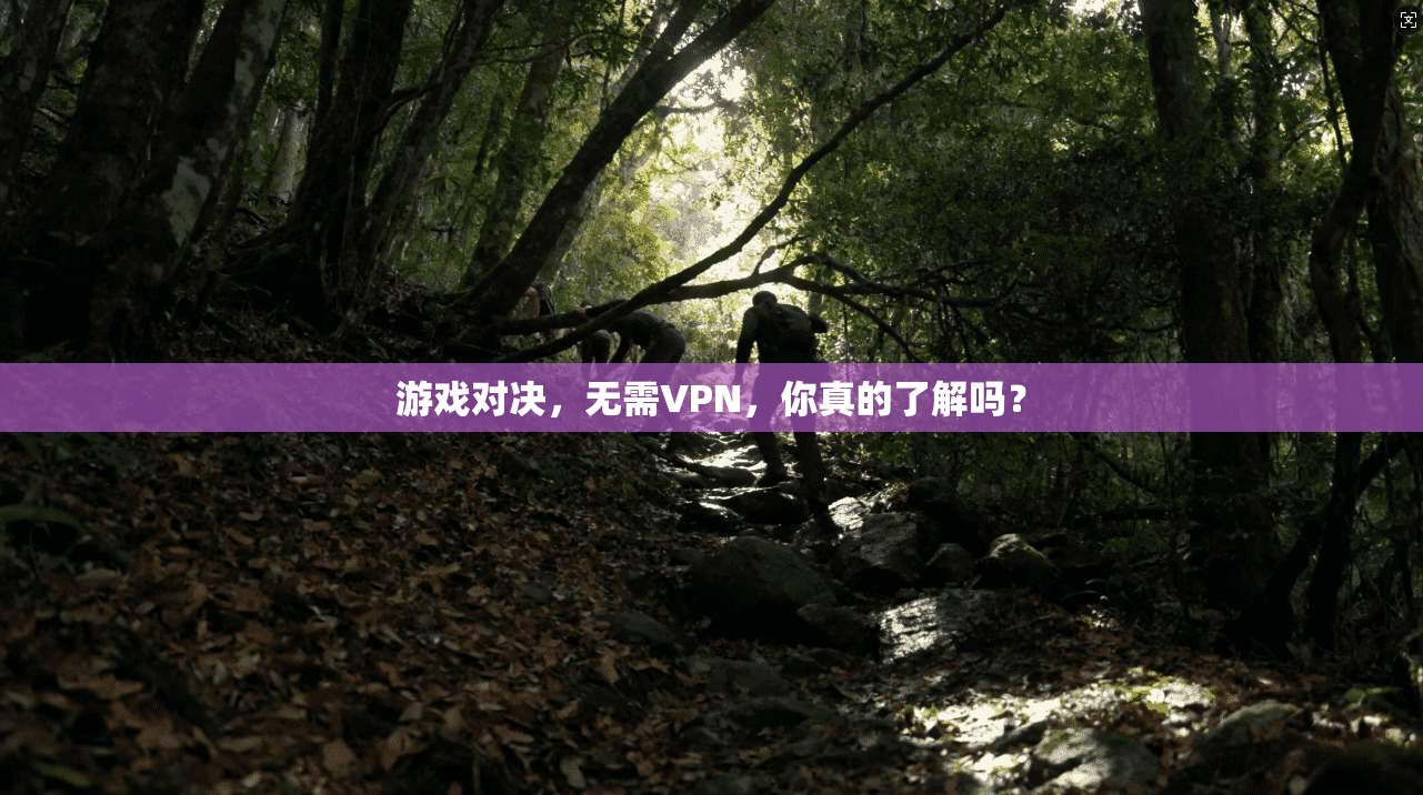 游戏对决,无需VPN,你真的了解吗?