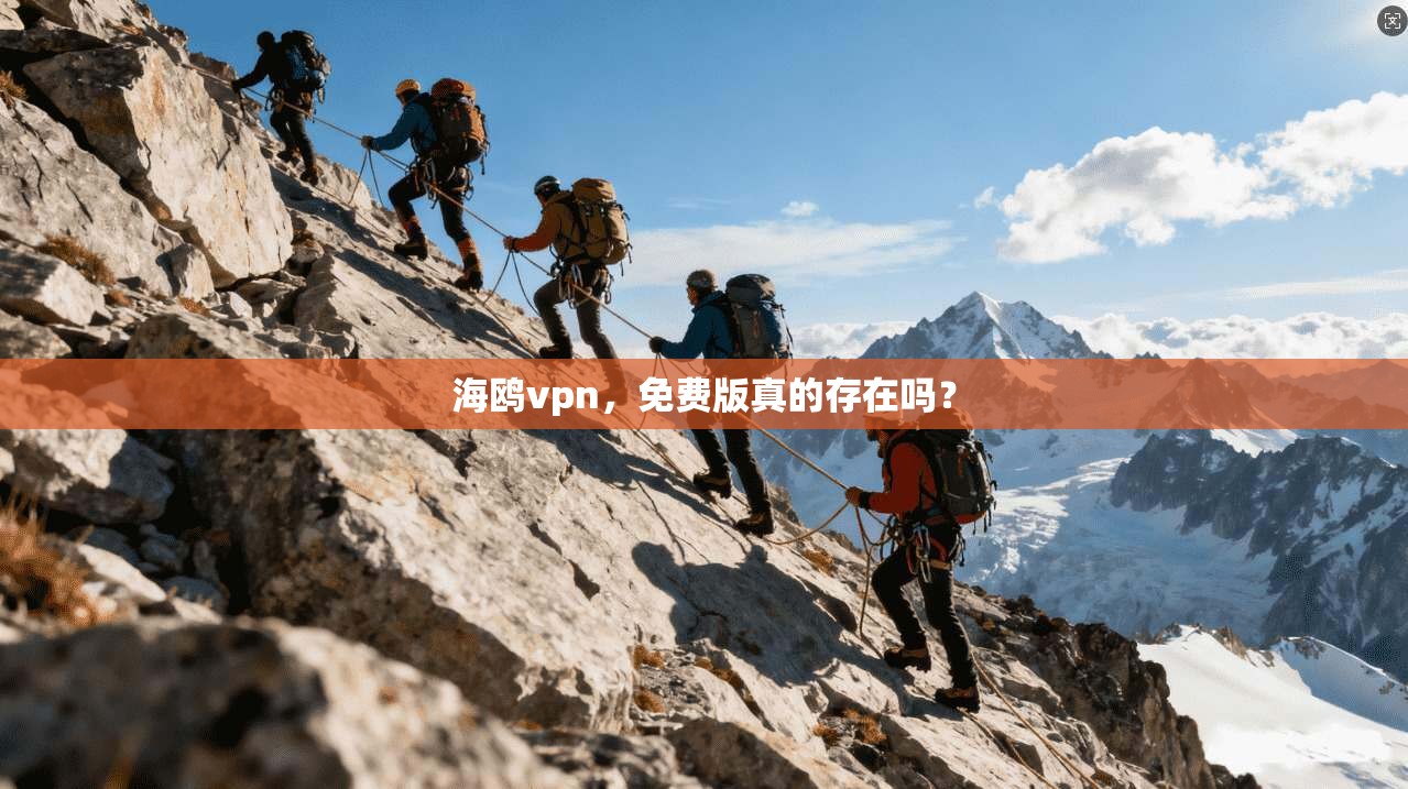 海鸥vpn，免费版真的存在吗？