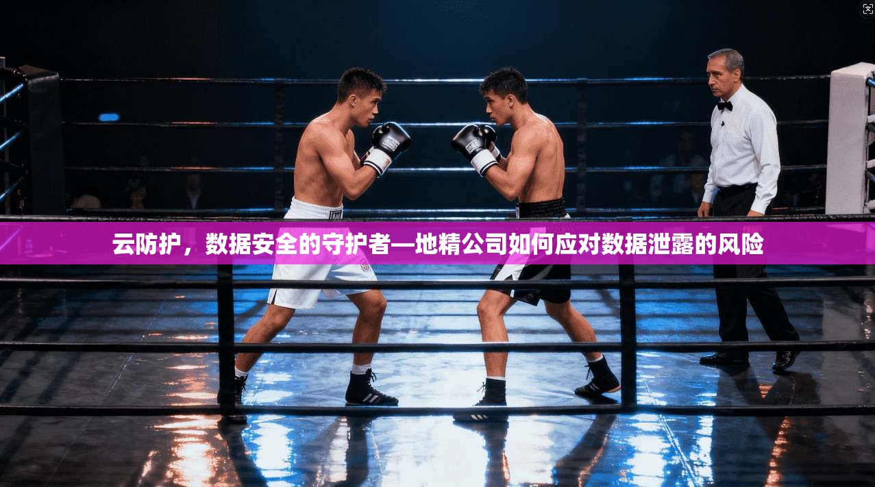 云防护,数据安全的守护者—地精公司如何应对数据泄露的风险