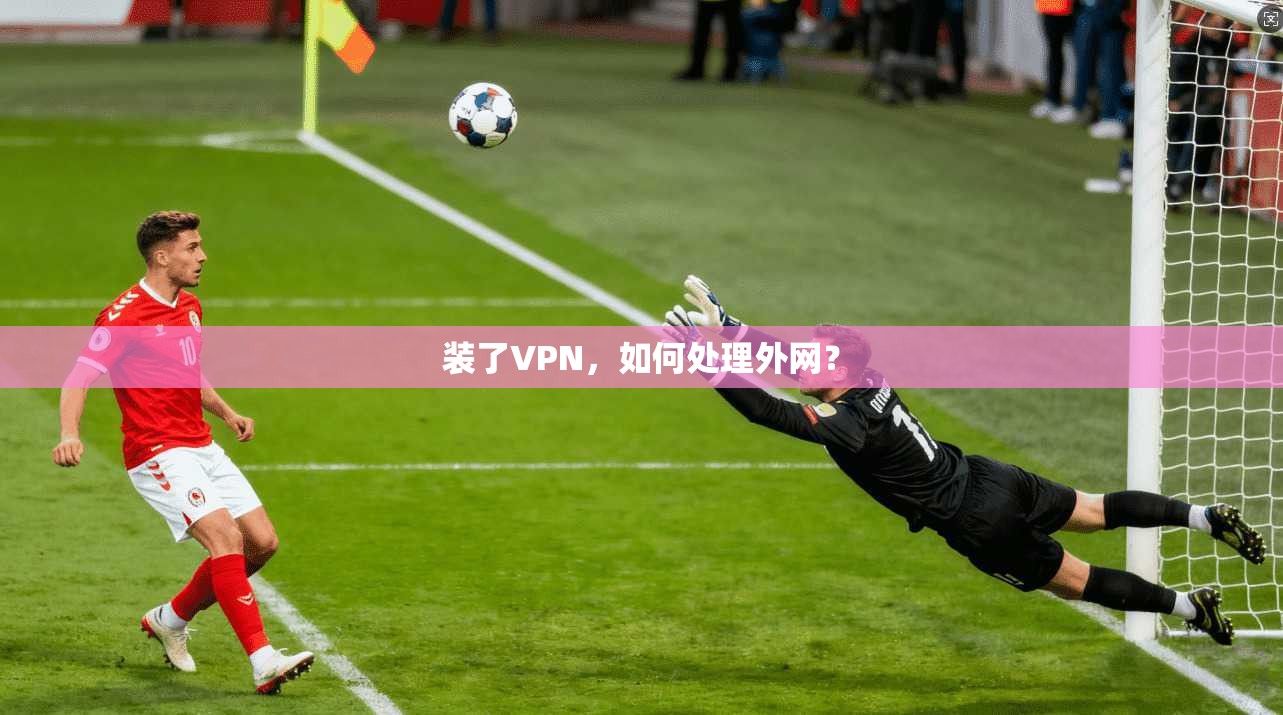 装了VPN，如何处理外网？