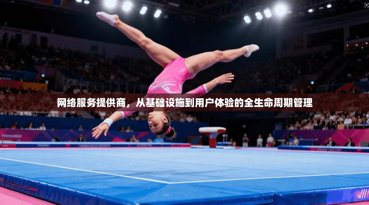 网络服务提供商，从基础设施到用户体验的全生命周期管理