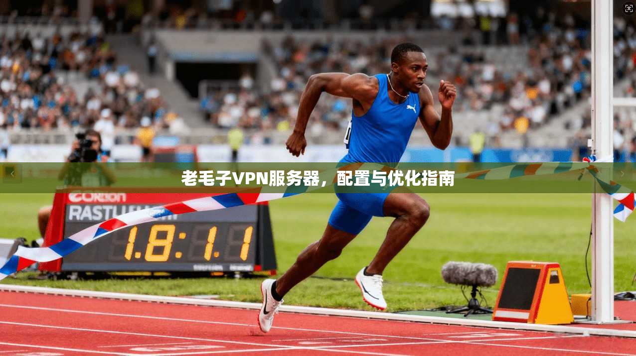 老毛子VPN服务器，配置与优化指南