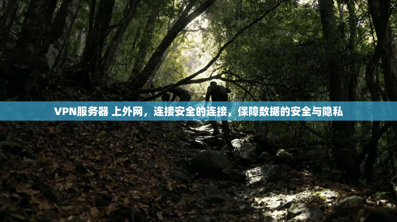 VPN服务器 上外网，连接安全的连接，保障数据的安全与隐私