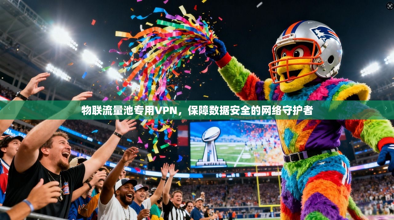 物联流量池专用VPN，保障数据安全的网络守护者