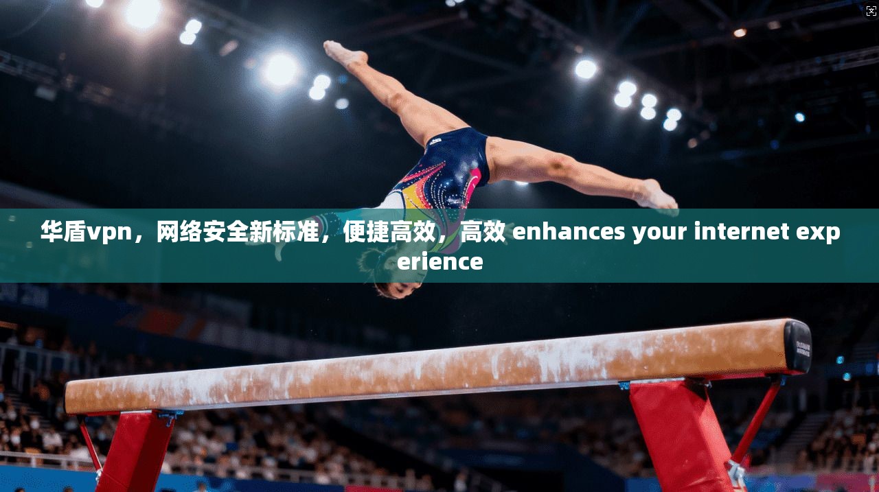 华盾vpn，网络安全新标准，便捷高效，高效 enhances your internet experience