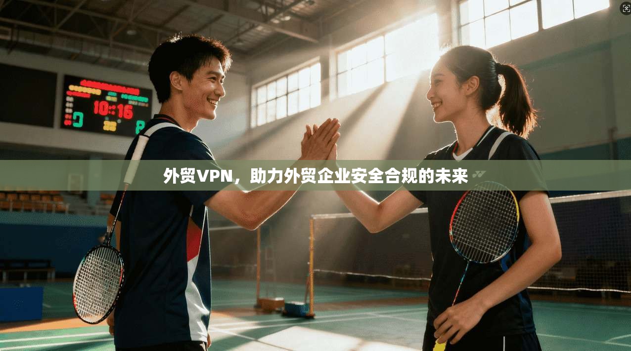 外贸VPN，助力外贸企业安全合规的未来