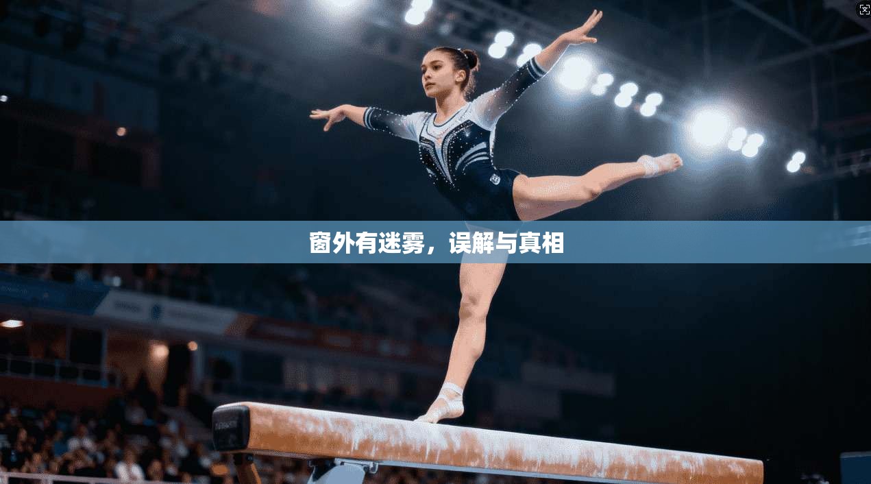 窗外有迷雾，误解与真相