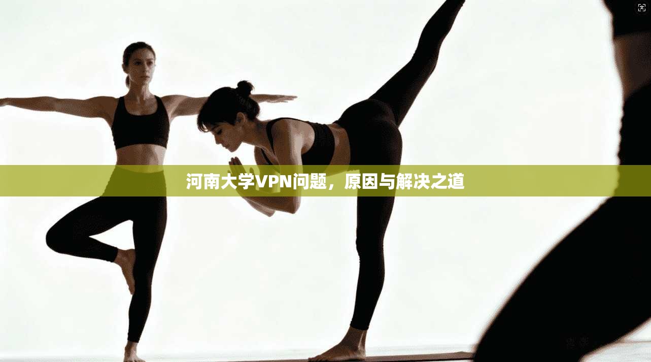 河南大学VPN问题,原因与解决之道