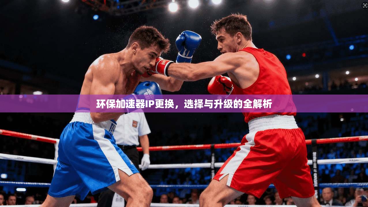 环保加速器IP更换，选择与升级的全解析