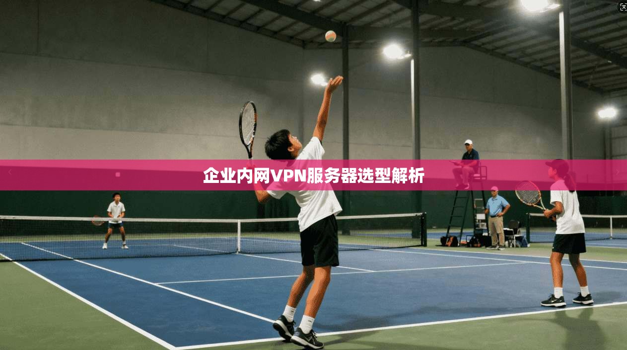 企业内网VPN服务器选型解析
