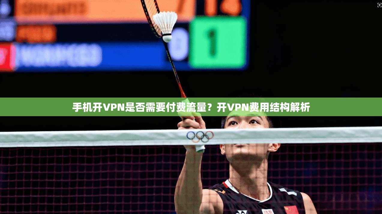 手机开VPN是否需要付费流量？开VPN费用结构解析