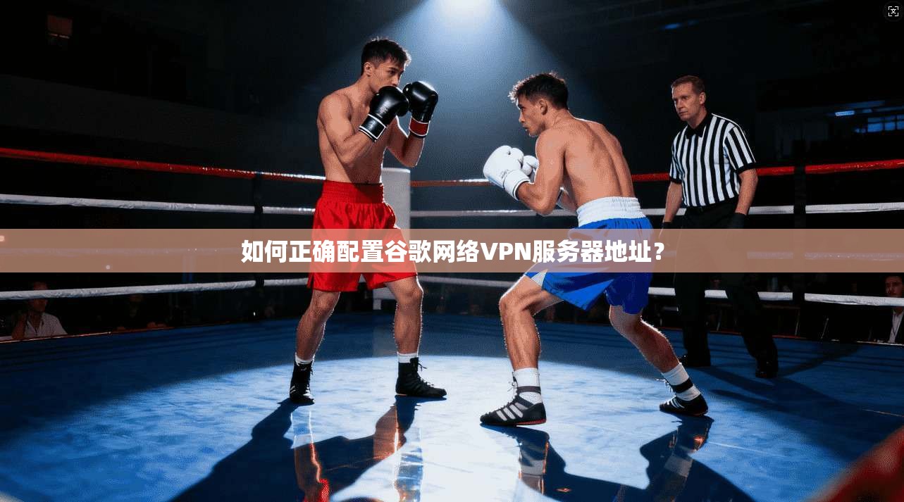 如何正确配置谷歌网络VPN服务器地址？