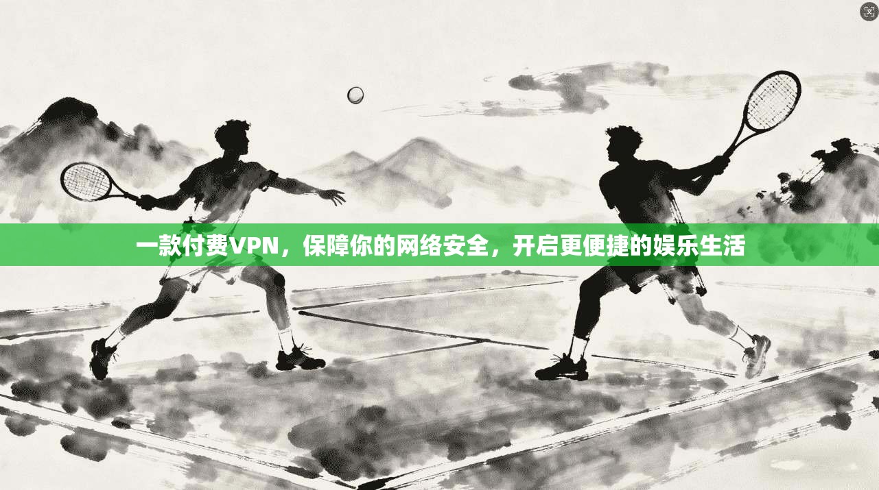 一款付费VPN，保障你的网络安全，开启更便捷的娱乐生活