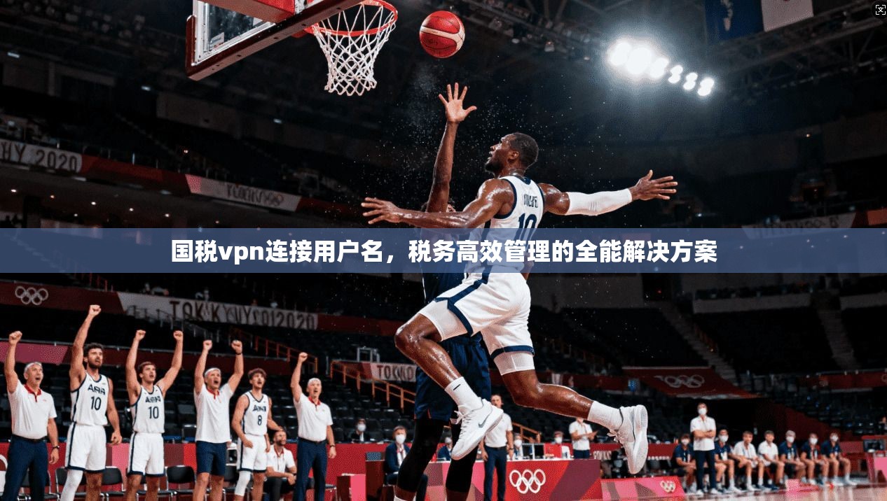 国税vpn连接用户名，税务高效管理的全能解决方案