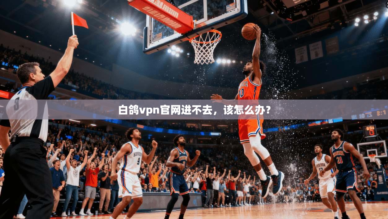 白鸽vpn官网进不去,该怎么办?