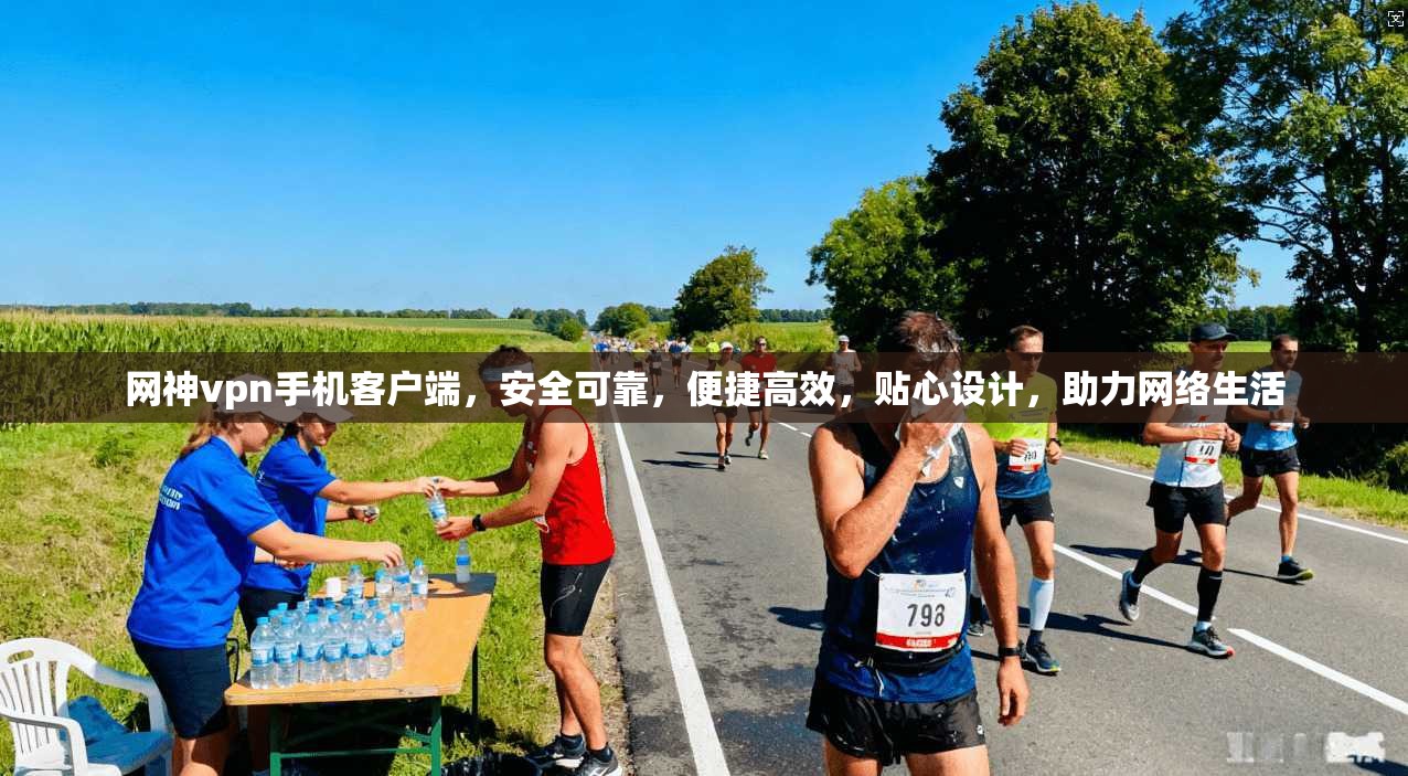 网神vpn手机客户端，安全可靠，便捷高效，贴心设计，助力网络生活