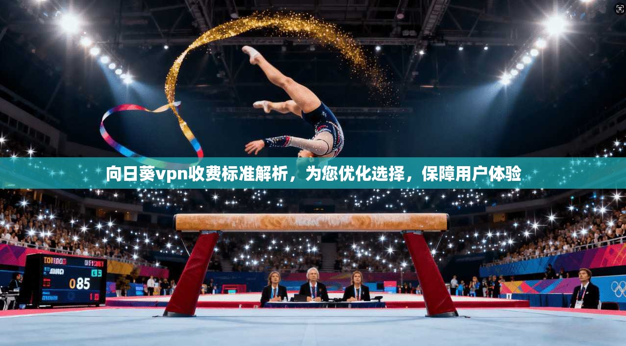 向日葵vpn收费标准解析，为您优化选择，保障用户体验