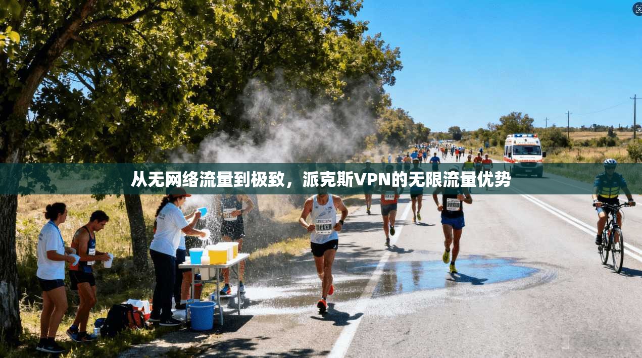 从无网络流量到极致,派克斯VPN的无限流量优势
