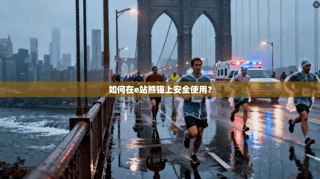 如何在e站熊猫上安全使用？