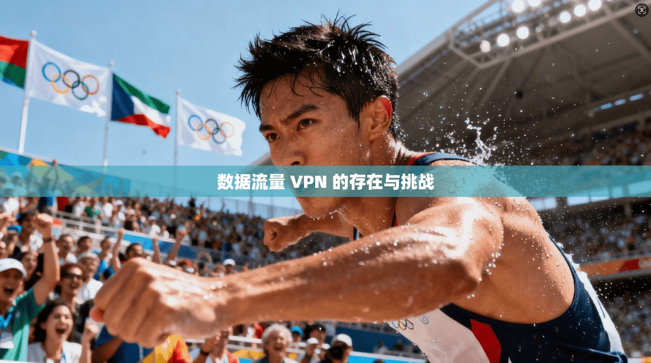 数据流量 VPN 的存在与挑战