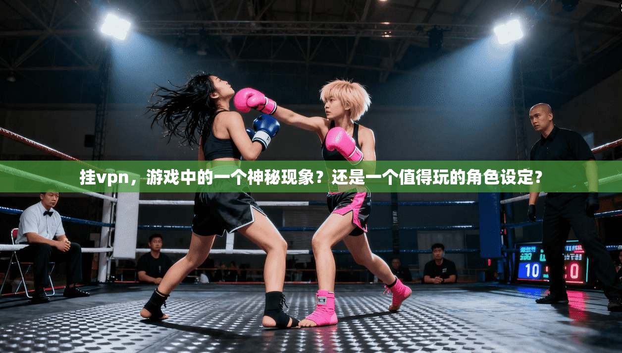 挂vpn,游戏中的一个神秘现象?还是一个值得玩的角色设定?