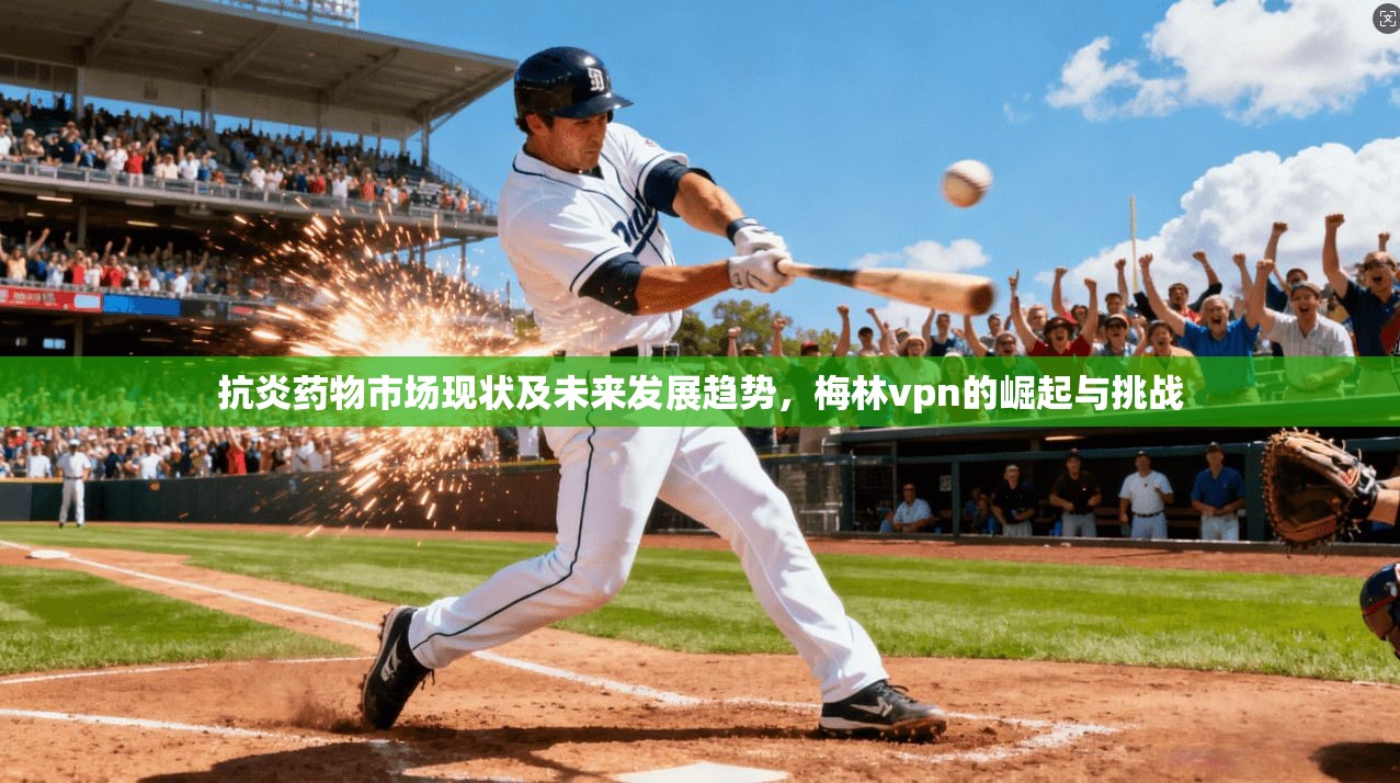 抗炎药物市场现状及未来发展趋势，梅林vpn的崛起与挑战