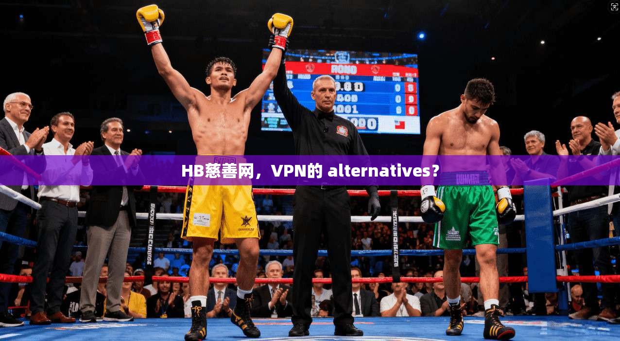 HB慈善网,VPN的 alternatives?