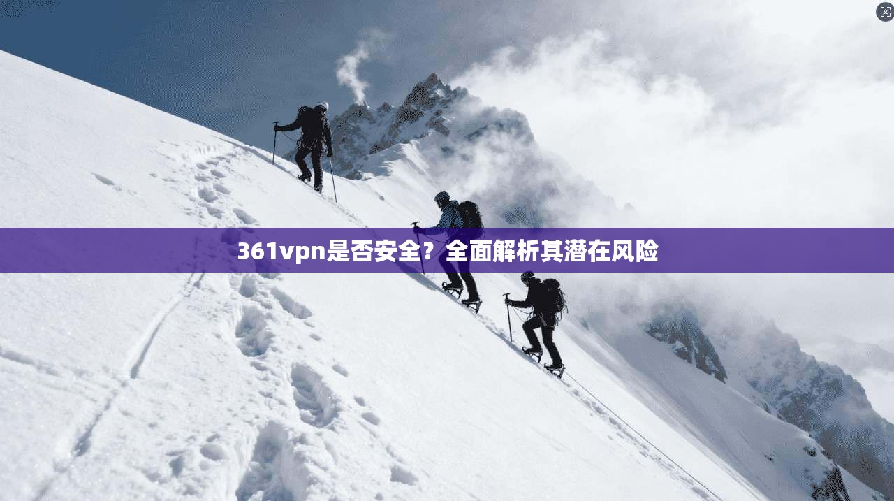 361vpn是否安全？全面解析其潜在风险
