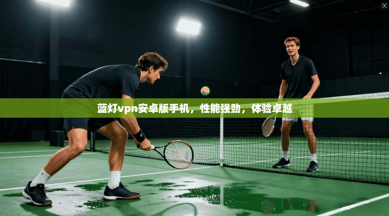 蓝灯vpn安卓版手机，性能强劲，体验卓越