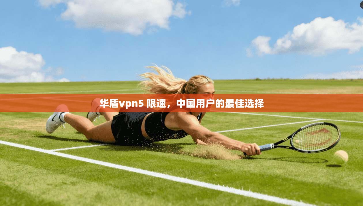 华盾vpn5 限速,中国用户的最佳选择