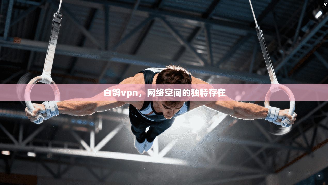 白鸽vpn，网络空间的独特存在  第1张