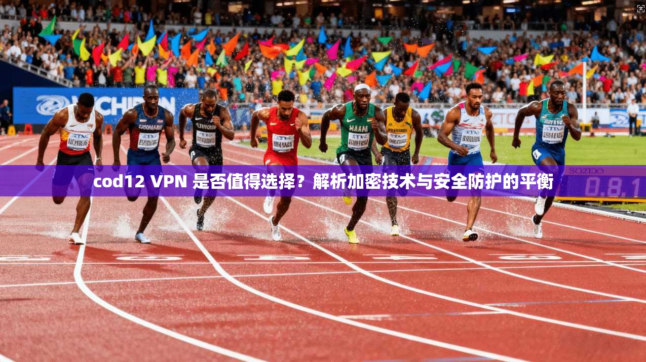 cod12 VPN 是否值得选择？解析加密技术与安全防护的平衡