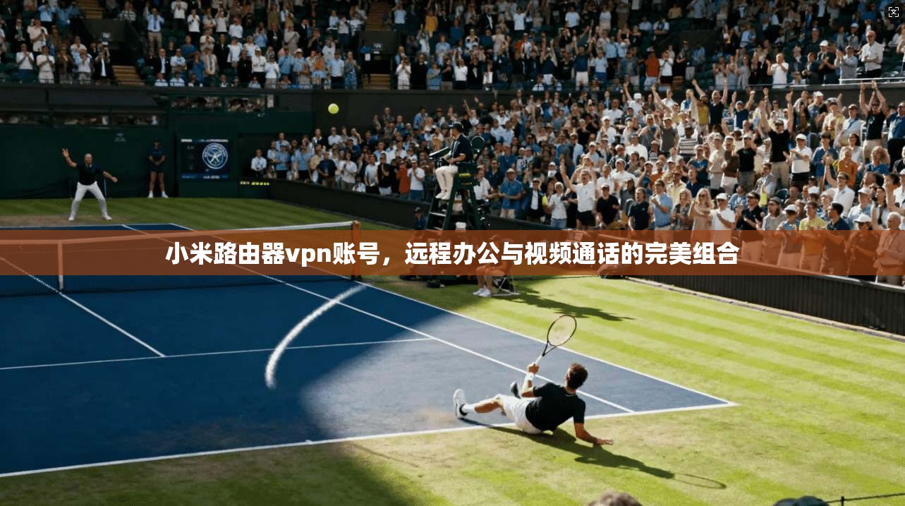 小米路由器vpn账号,远程办公与视频通话的完美组合