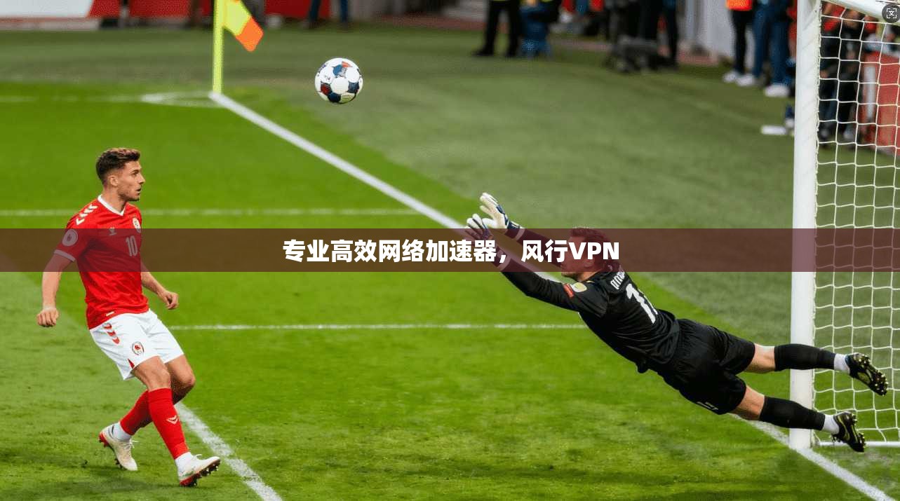 专业高效网络加速器,风行VPN
