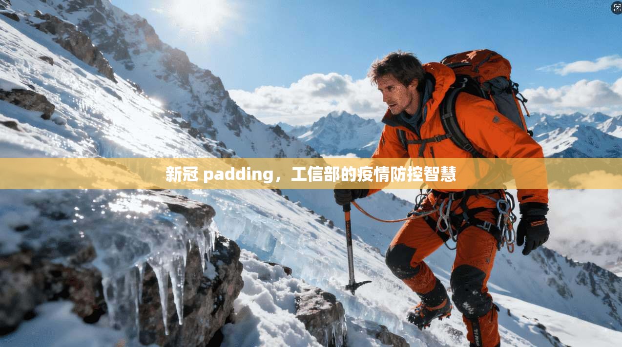 新冠 padding，工信部的疫情防控智慧