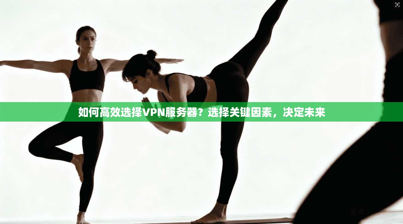 如何高效选择VPN服务器？选择关键因素，决定未来
