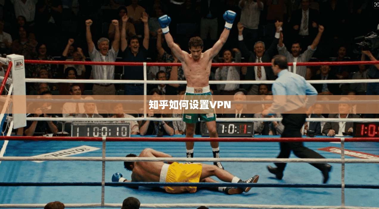 知乎如何设置VPN